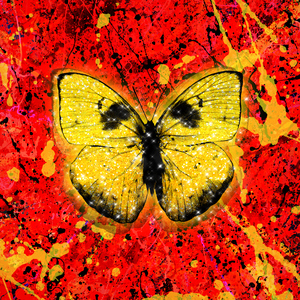 优优里番ACG※里番本子库320
